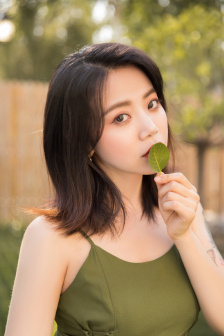 一本dao完结